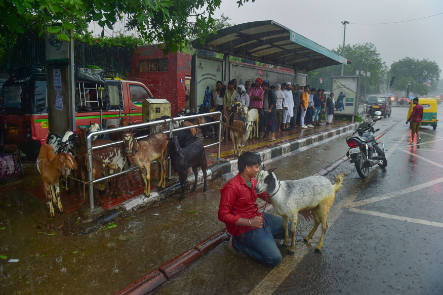 Goat sellers and other try to protect themselves at a bust stand as its rains, near Jama Masjid in old Delhi. (Image: PTI)