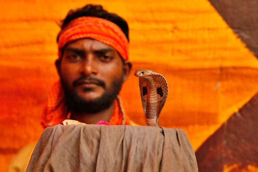 Nag Panchami 2019 Festival Celebrations in India - In Pictures - News18