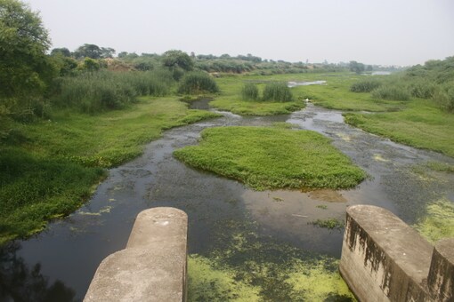 Roughly 50 per cent of Gurugram’s sewage flows through drains and pipes, reaching the Najafgarh drain.