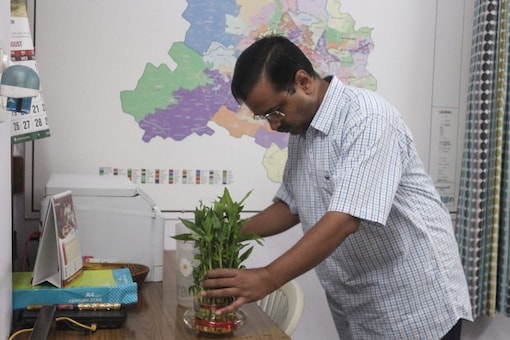 CM Arvind Kejriwal inspects for standing water in his own house. (File photo:  Arvind Kejriwal/Twitter)
