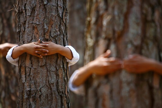 Representational photo.
