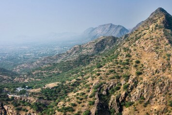 Govt Mulling Over 1400 Km Long Great Green Wall To Tackle Land Desertification