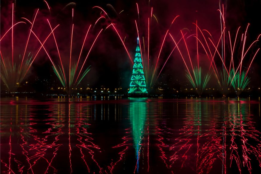 Rio de Janeiro Lights Up World's Tallest Floating Christmas Tree News18