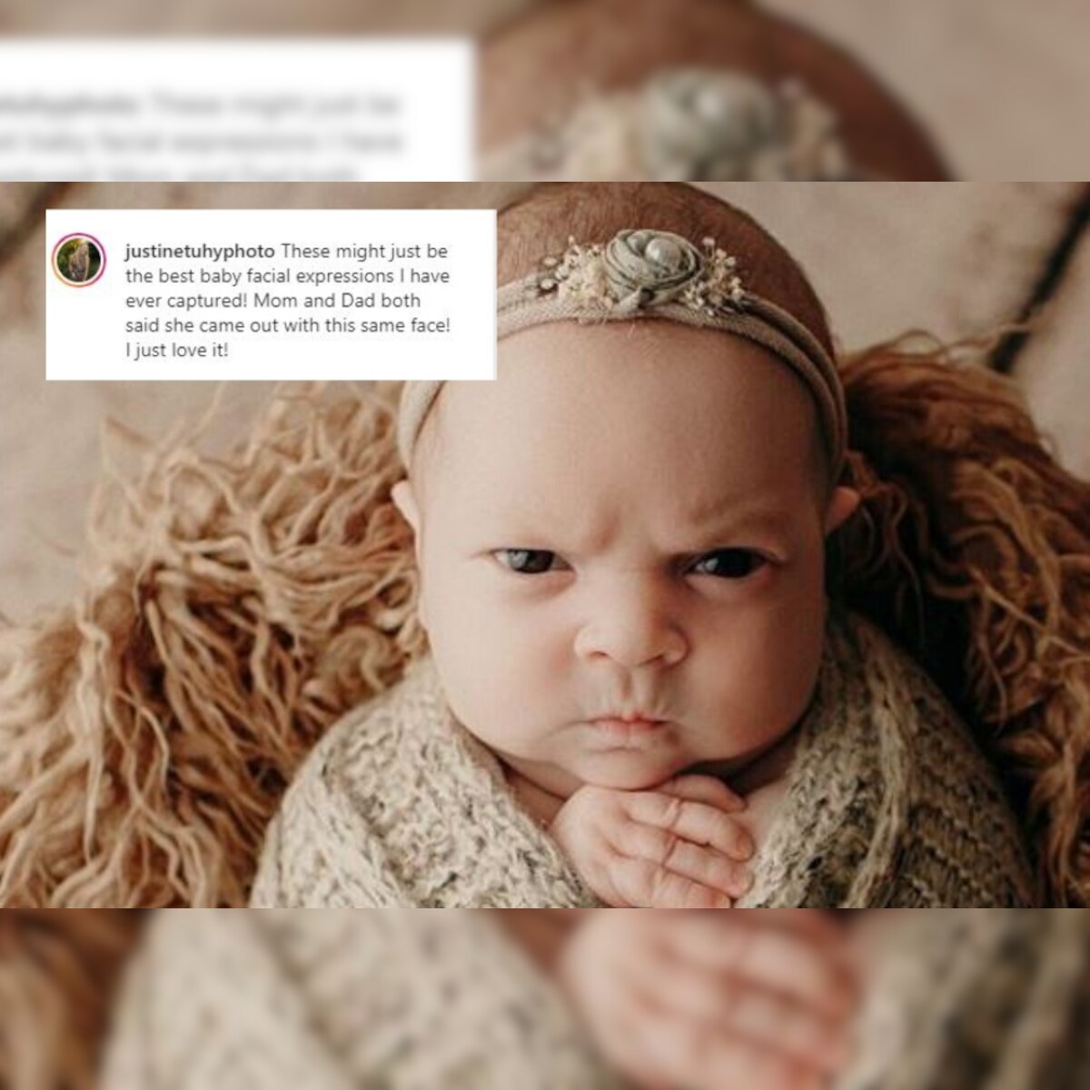 Infant Protests Her Baby Photoshoot With A Grumpy Face That S Breaking The Internet Infant Protests Her Baby Photoshoot With A Grumpy Face That S Breaking The Internet