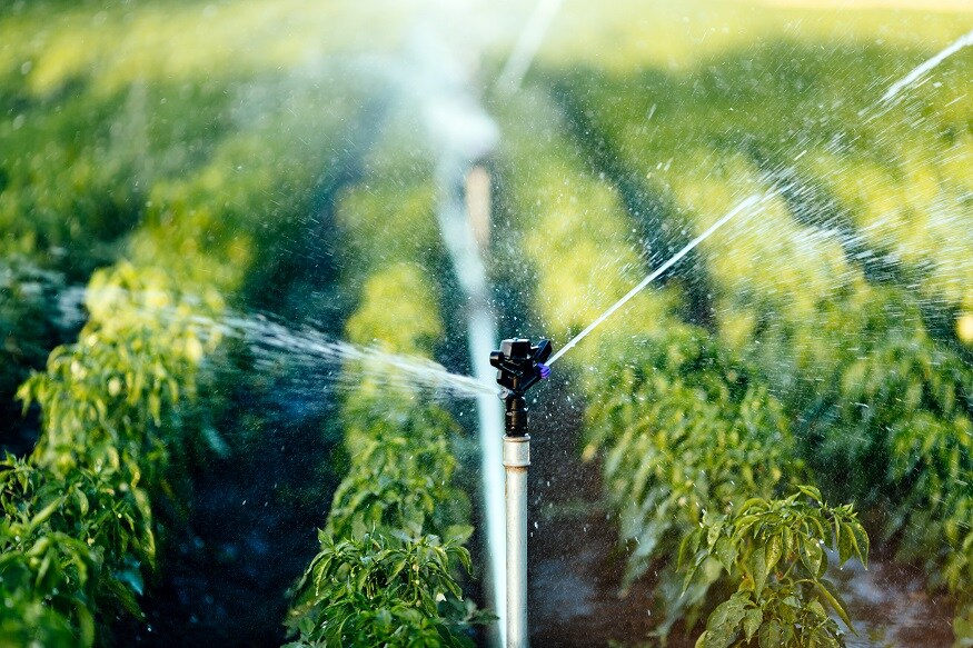 How Small Changes in Irrigation Methods Can Produce Big Results and Help Fix Water Crisis - News18