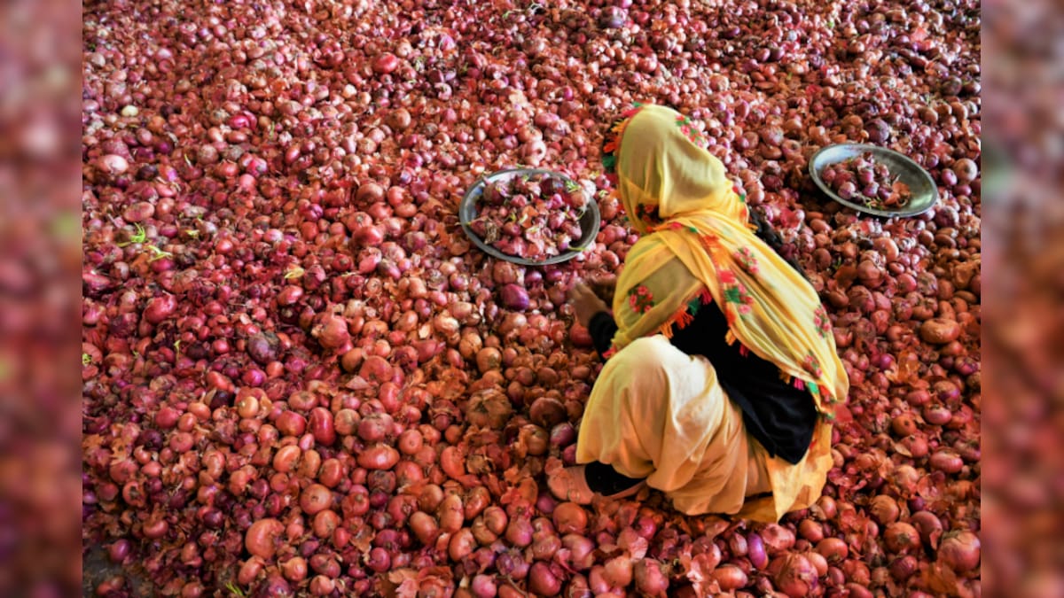 India Lifts Ban on Onion Exports after Price Stabilises, Says Union