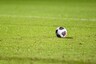 Pitches and Balls to be Sterilised When Spanish Football Season Restarts, Says Doctor