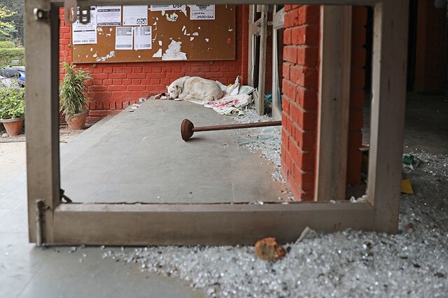 A dog rests next to glass scattered near the entrance to the Sabarmati hostel which was vandalized in Sunday's assault by masked assailants at the Jawaharlal Nehru University in New Delhi. (Image: AP)