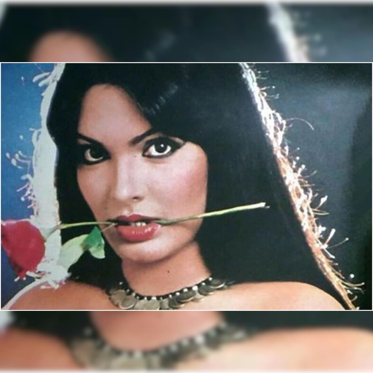 Parveen Babi Death Anniversary: Lesser-known Facts About the Actress