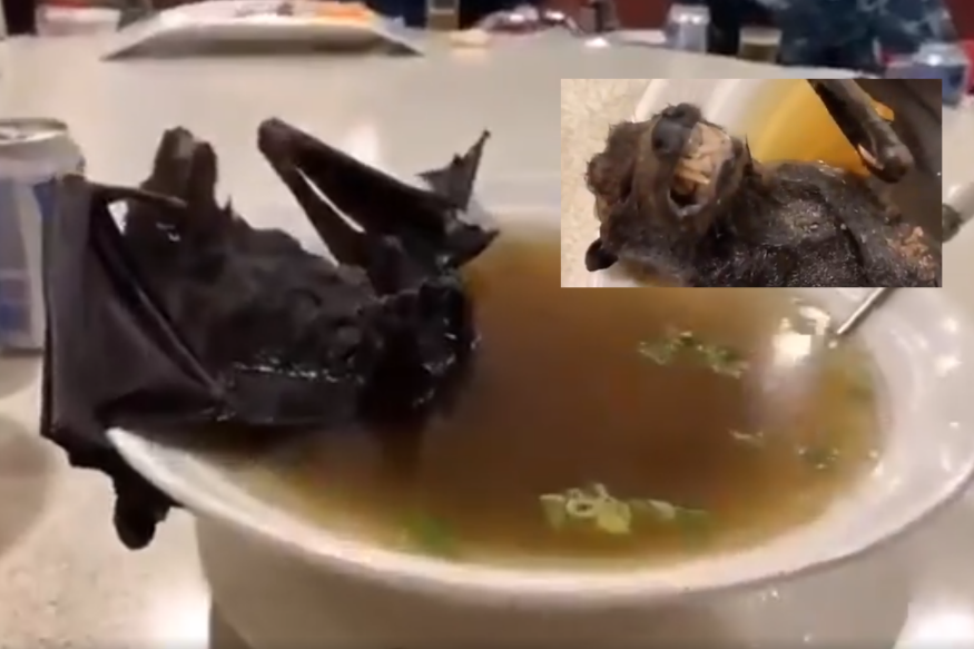 Video of Chinese Woman Munching on Cooked Bat Has Given Twitter a ...