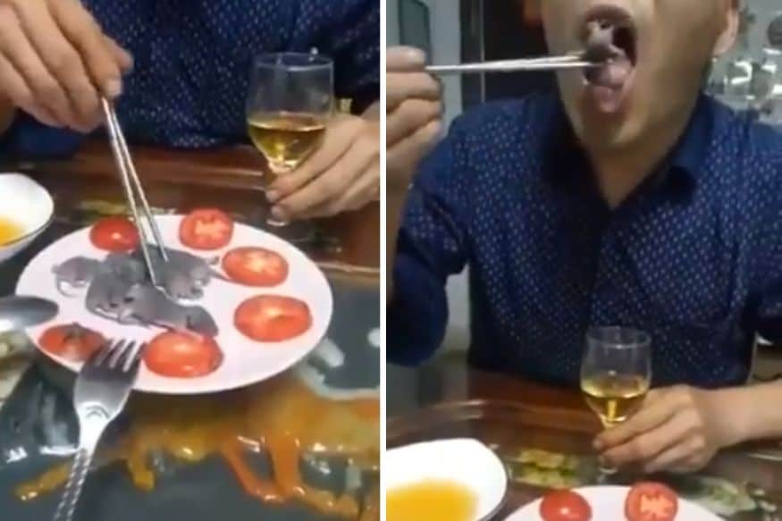 Image result for man eating live mice"