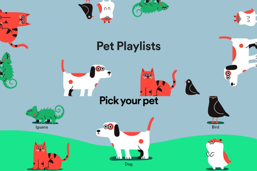 Spotify for pets