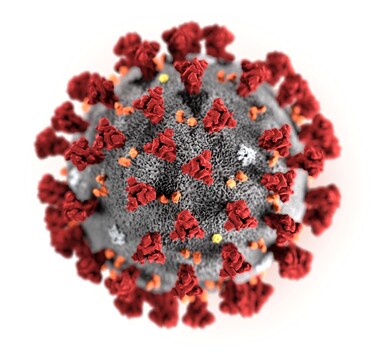 The ultrastructural morphology exhibited by the 2019 Novel Coronavirus (2019-nCoV), which was identified as the cause of an outbreak of respiratory illness first detected in Wuhan, China, is seen in an illustration released by the Centers for Disease Control and Prevention (CDC) in Atlanta, Georgia, US. (Image: Reuters)