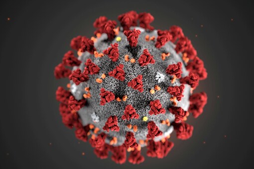The ultrastructural morphology exhibited by the 2019 Novel Coronavirus (2019-nCoV), which was identified as the cause of an outbreak of respiratory illness first detected in Wuhan, China, is seen in an illustration released by the Centers for Disease Control and Prevention (CDC) in Atlanta, Georgia. (Image: Reuters)