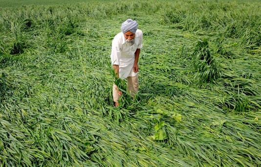 Responding to a series of queries raised by MPs on this initiative, Narendra Singh Tomar said an amount of Rs 38,282 crore has been transferred to various beneficiaries under the scheme during April-August period of this fiscal.