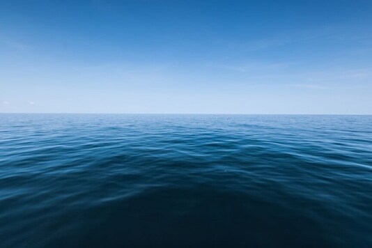 (Image: Shutterstock)
