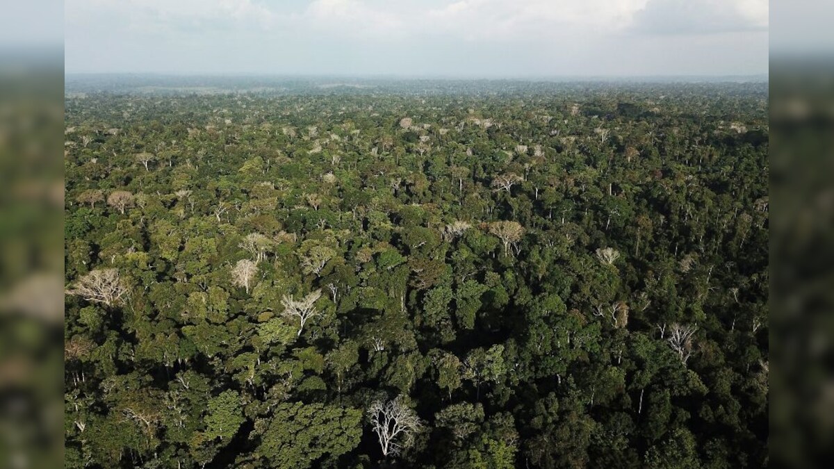 Destroying Natural Habitats Bring Pandemic Causing Pathogens Closer to