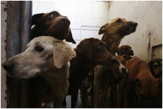 Image credit: Reuters