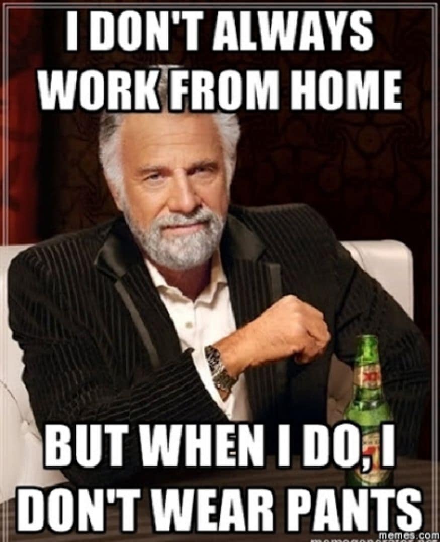 Work from home memes don't care that you're not wearing pants