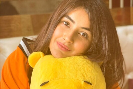 Bigg Boss 13 Fame Shehnaaz Gill is Concerned that People Might Forget Her, Says Craze is Short-lived