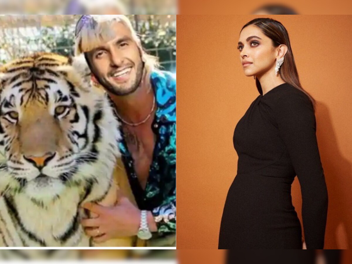 Deepika Padukone Trolls Ranveer Singh For Tiger King Meme, Asks 'What Are  You Finding So Funny?'