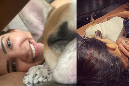 Samantha Akkineni Posts Cute Pics with Pet Dog Hash