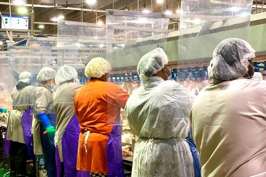 For representation: In this April 2020, photo provided by Tyson Foods, workers wear protective masks and stand between plastic dividers at the company's Camilla, Georgia poultry processing plant. Tyson has added the plastic dividers to create separation between workers because of the coronavirus outbreak. (Tyson Foods via AP)