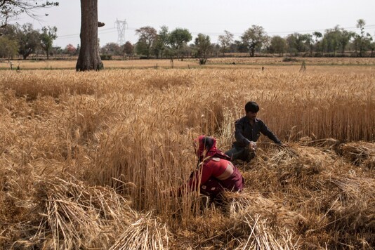 Representative Image (Reuters)