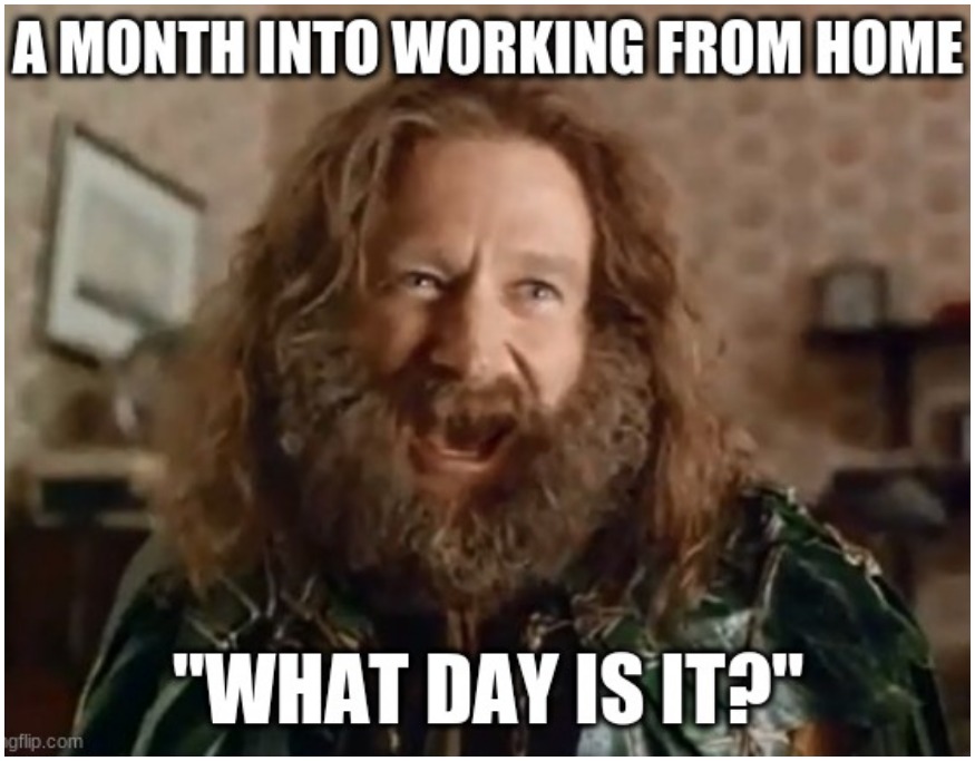 COVID-19: Work From Home Memes That Will Crack You Up