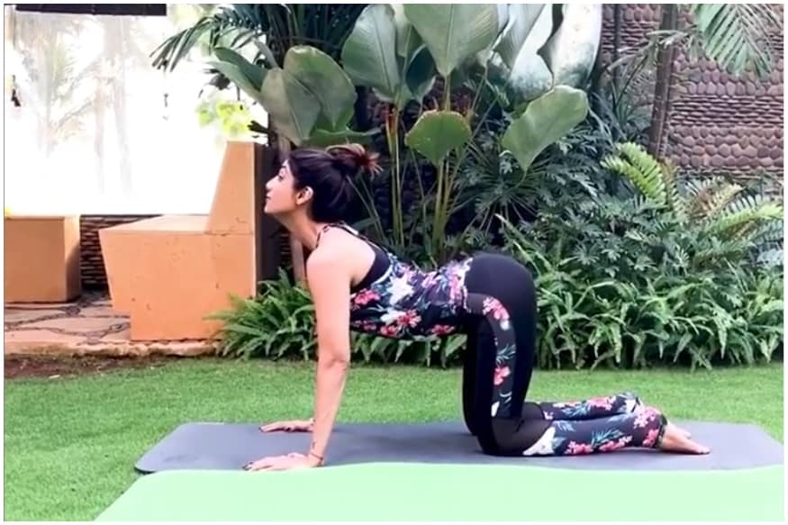 Shilpa Shetty Yoga Fuck - Shilpa Shetty's Monday Motivation Video is an Exercise Routine to Ward off  Back Pain and Increase Flexibility - News18