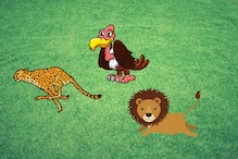 This Video of a Cheetah, a Vulture and a Lion will Teach you an Important Life Lesson