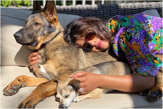Priyanka Chopra's New Pic Proves That 'Sunshine is Better with Cuddles'