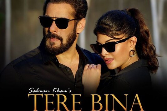 Salman Khan Shares Why He Released His Song 'Tere Bina' Amid Lockdown