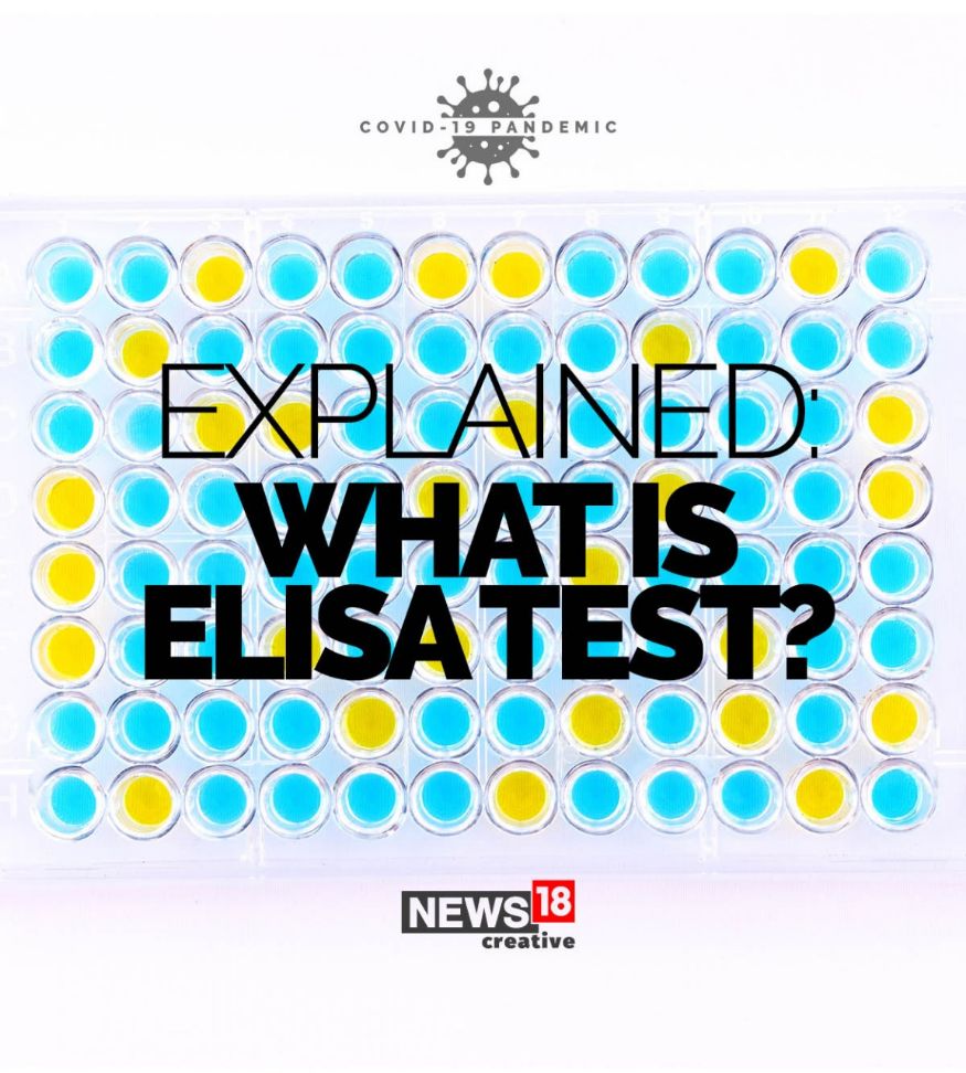 What is Elisa Test and How Does It Work? Explained
