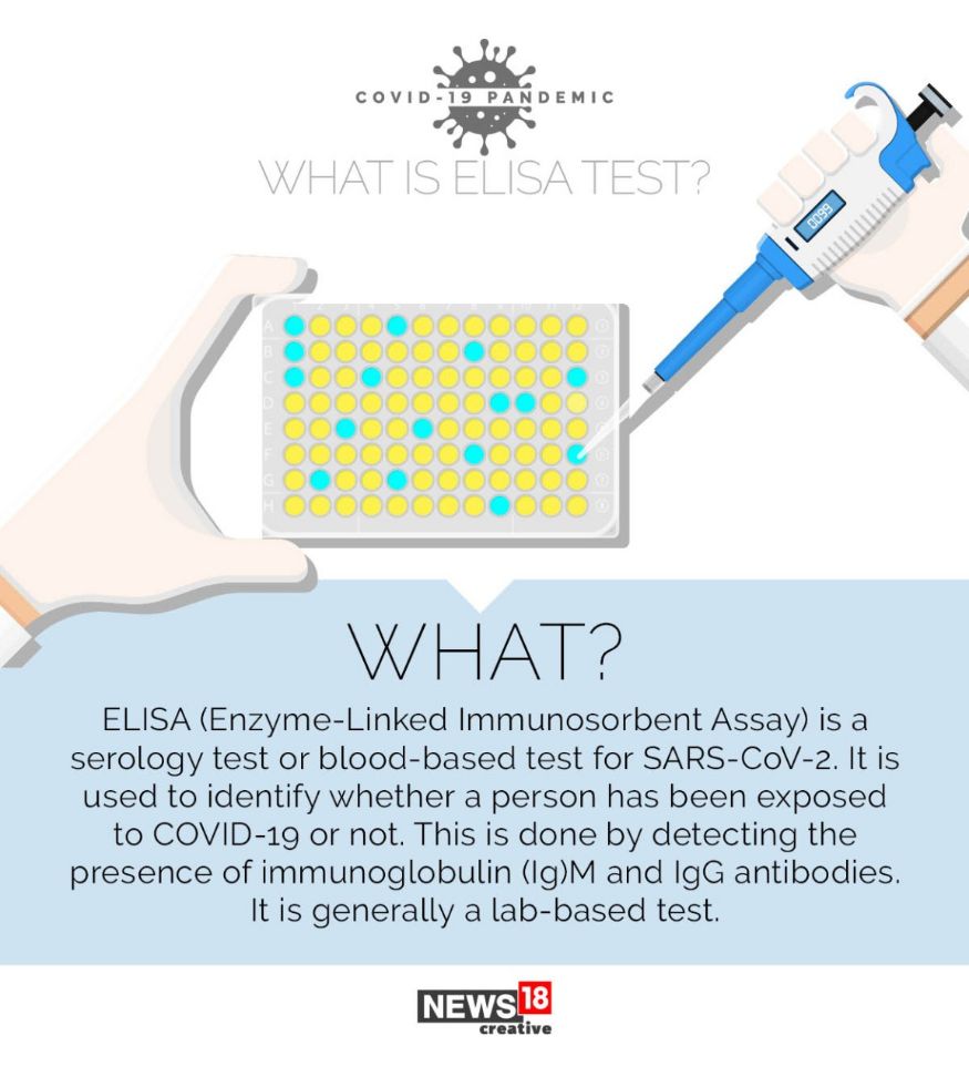 what-is-elisa-test-and-how-does-it-work-explained-photogallery