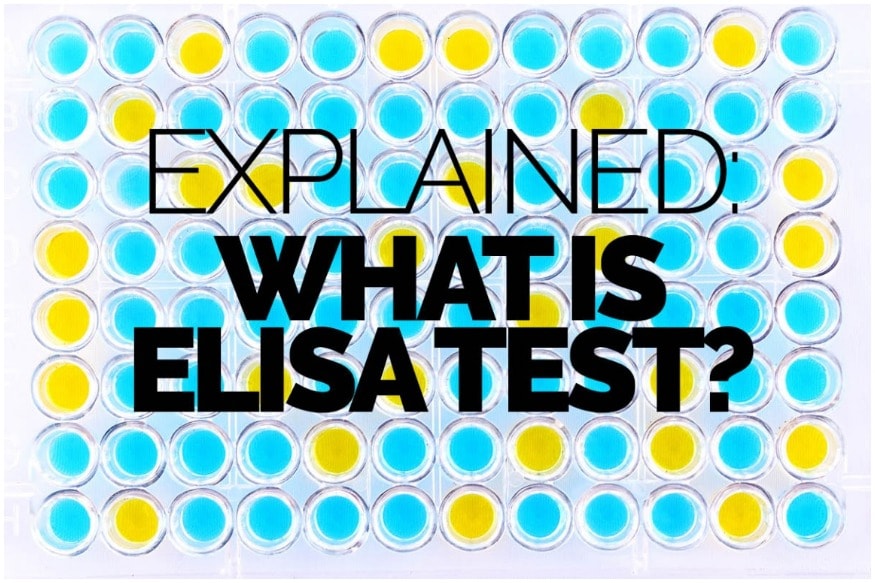 What is Elisa Test and How Does It Work? Explained News18