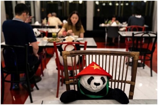 A stuffed panda sits to dine at a restaurant in Saigon, Bangkok | Image credit: Reuters 
