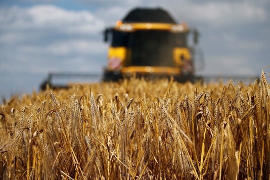 (Representative image) A barley field in Australia. REUTERS/Pascal Rossignol - RC16F352C200