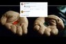 'Take the Red Pill': Lilly Wachowski Trolls Elon Musk, Ivanka Trump for 'The Matrix' Reference