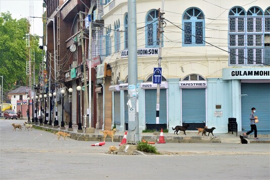 An empty street in Srinagar in wake of the lockdown to curb the effects of the novel coronavirus. (Credit: Reuters)