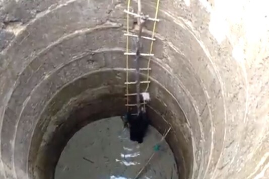 Screengrab of the video.
