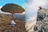 This Travel Blogger Chose to Stay Stuck on an Isolated Island for Her 'Love for It'