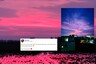 Bhubaneswar Skies Turn Pink after Amphan Cyclone Wreaks Havoc in Odisha