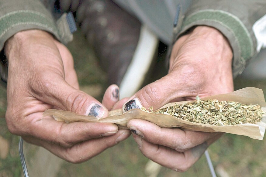 Read more about the article Cannabis May Kill Coronavirus and No, The Study Hasn’t Been Done By Bob Marley