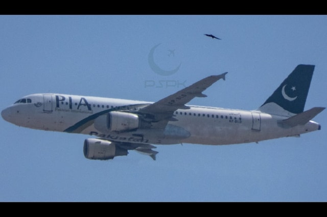 File photo of a Pakistan International Airlines flight.