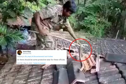 Screenshot from video tweeted by Shailendra Singh, IFS
/ @s_singh_ifs.
