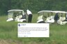 'I Care, Do You?': Trump Gets Panned for Playing Golf as Covid-19 Death Toll Nears 1 Lakh in US