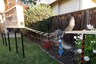 Ex-NASA Engineer Devises a Way to Stop Squirrels from Finishing up Food, But This Happens