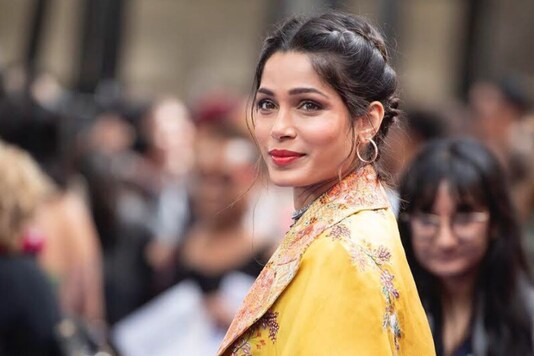 Animated World Different From Film And Television, Says Freida Pinto