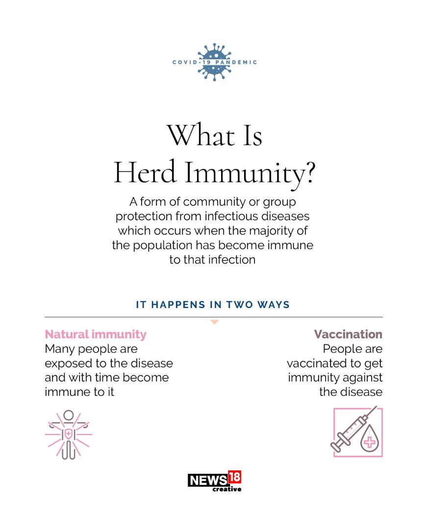 What Is Herd Immunity? And How Does It Work? Explained! Photogallery